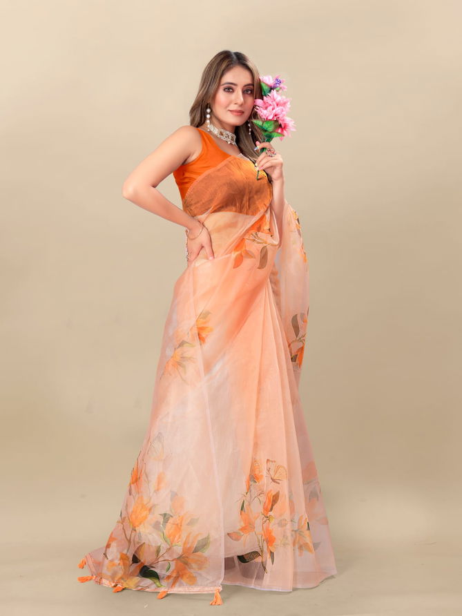 Shree Radha Raman Organza Printed Sarees Catalog